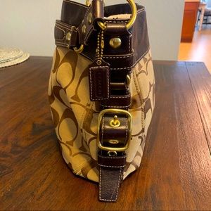 Coach Carly Large Signature Bag